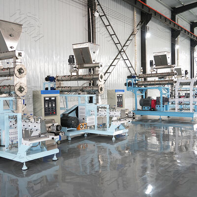Twin Screw Pet Food Extruder Machine for Dogs Siemens Motor PLC Control High Capacity 120-5000kg/h Pump Gear Core Components