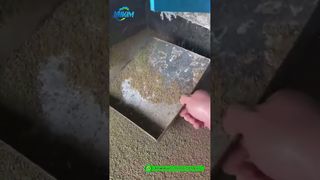 مطحنة بيليه لتغذية الروبيان | عرض توضيحي لإنتاج المنتج النهائي في المصنع# ماكينة تغذية تخريزية
